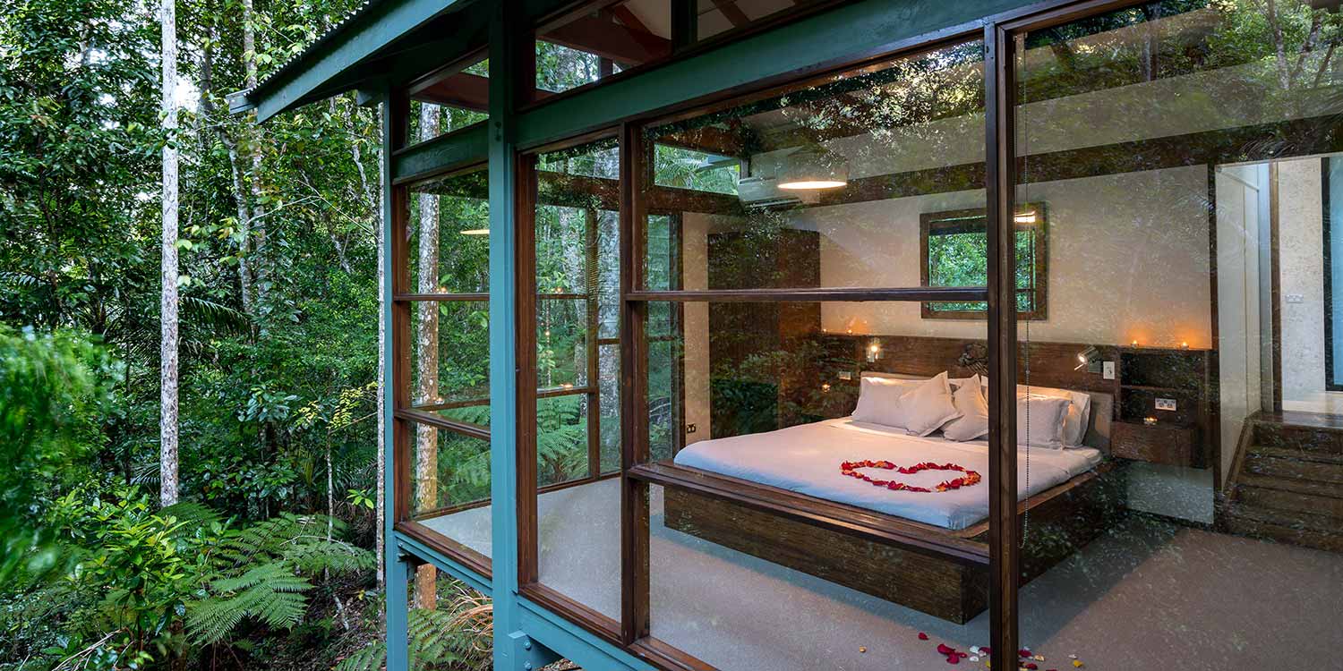 1500x750 csc bedroom rainforest
