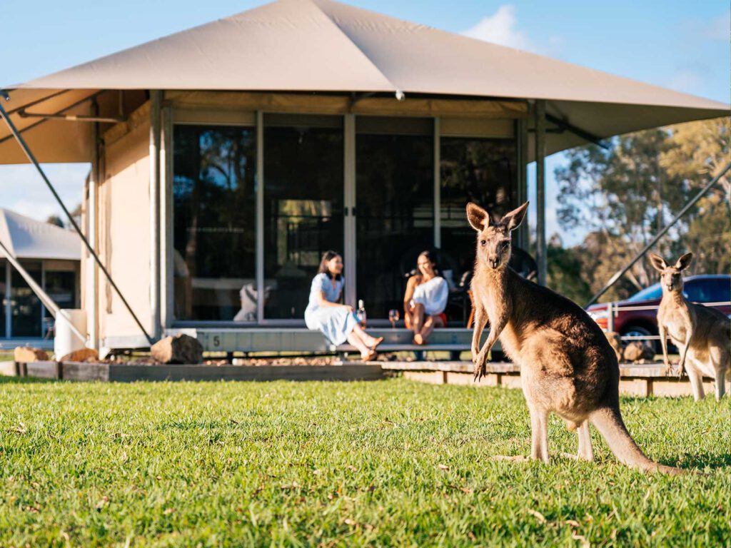 Noosa habitat eco camp retreat 6 1024x768